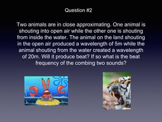 Two animals are in close approximating. One animal is
shouting into open air while the other one is shouting
from inside the water. The animal on the land shouting
in the open air produced a wavelength of 5m while the
animal shouting from the water created a wavelength
of 20m. Will it produce beat? If so what is the beat
frequency of the combing two sounds?
Question #2
 