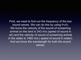 First, we need to find out the frequency of the two
sound waves. We can do this by using f=v/λ.
We know the velocity of the sound of screaming
animal on the land is 343 m/s (speed of sound in
air) and the velocity of sound of screaming animal
in the water is 1482 m/s ( speed of sound in water).
And we know the wavelength for both the sound
waves.
 