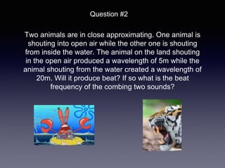 Two animals are in close approximating. One animal is
shouting into open air while the other one is shouting
from inside the water. The animal on the land shouting
in the open air produced a wavelength of 5m while the
animal shouting from the water created a wavelength of
20m. Will it produce beat? If so what is the beat
frequency of the combing two sounds?
Question #2
 