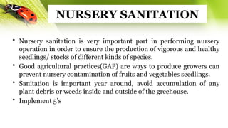 NURSERY SANITATION
• Nursery sanitation is very important part in performing nursery
operation in order to ensure the production of vigorous and healthy
seedlings/ stocks of different kinds of species.
• Good agricultural practices(GAP) are ways to produce growers can
prevent nursery contamination of fruits and vegetables seedlings.
• Sanitation is important year around, avoid accumulation of any
plant debris or weeds inside and outside of the greehouse.
• Implement 5’s
 
