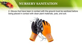 NURSERY SANITATION
2. Gloves that have been in contact with the ground must be sanitized before
being placed in contact with clean plant materials, pots, and soil.
 