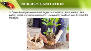 NURSERY SANITATION
3. Do not insert your unsanitized fingers or unsanitized items into the plant
potting media to avoid contamination. Use properly sanitized tools to check the
moisture.
 