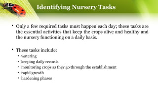Identifying Nursery Tasks
• Only a few required tasks must happen each day; these tasks are
the essential activities that keep the crops alive and healthy and
the nursery functioning on a daily basis.
• These tasks include:
• watering
• keeping daily records
• monitoring crops as they go through the establishment
• rapid growth
• hardening phases
 