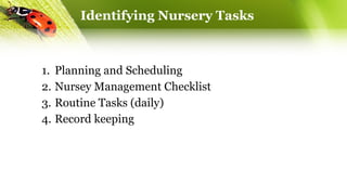 Identifying Nursery Tasks
1. Planning and Scheduling
2. Nursey Management Checklist
3. Routine Tasks (daily)
4. Record keeping
 
