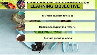 Prepare nursery tools, farm implements and simple
equipment
Maintain nursery facilities
Handle seeds/planting material
Prepare growing media
LEARNING OBJECTIVE
 