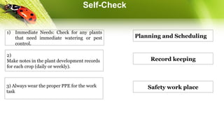 Self-Check
Planning and Scheduling
2)
Make notes in the plant development records
for each crop (daily or weekly).
1) Immediate Needs: Check for any plants
that need immediate watering or pest
control.
Record keeping
Safety work place
3) Always wear the proper PPE for the work
task
 