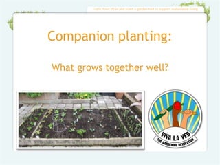 Topic Four: Plan and plant a garden bed to support sustainable living




Companion planting:

What grows together well?
 