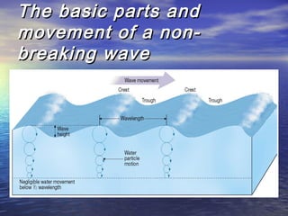 The basic parts andThe basic parts and
movement of a non-movement of a non-
breaking wavebreaking wave
 