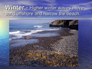 WinterWinter -- Higher winter waves moveHigher winter waves move
sand offshore and narrow the beach.sand offshore and narrow the beach.
 