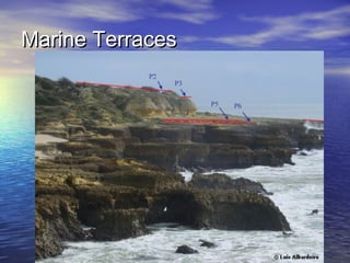 Marine TerracesMarine Terraces
 