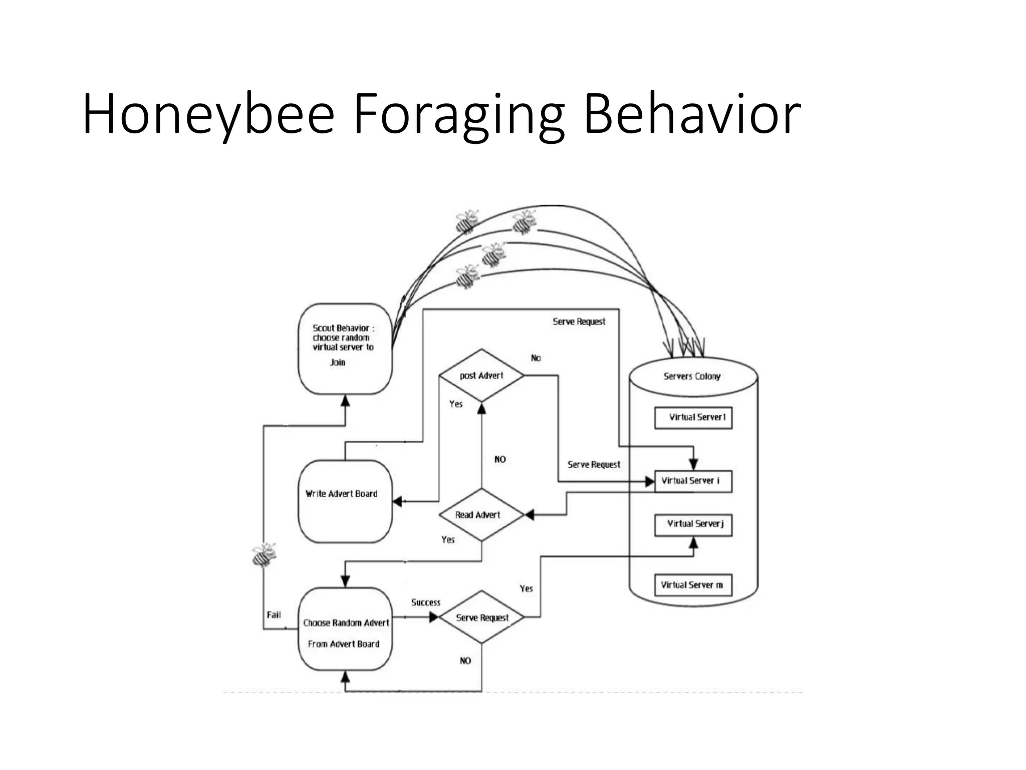 Honeybee Foraging Behavior
 