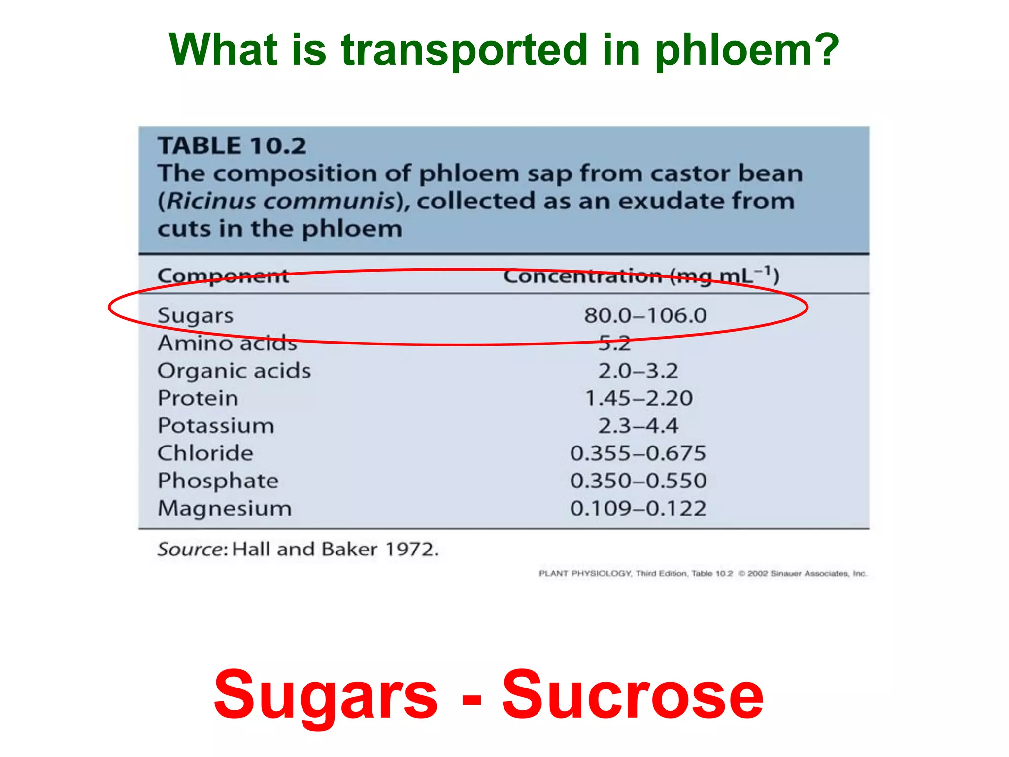What is transported in phloem?
Sugars - Sucrose
 