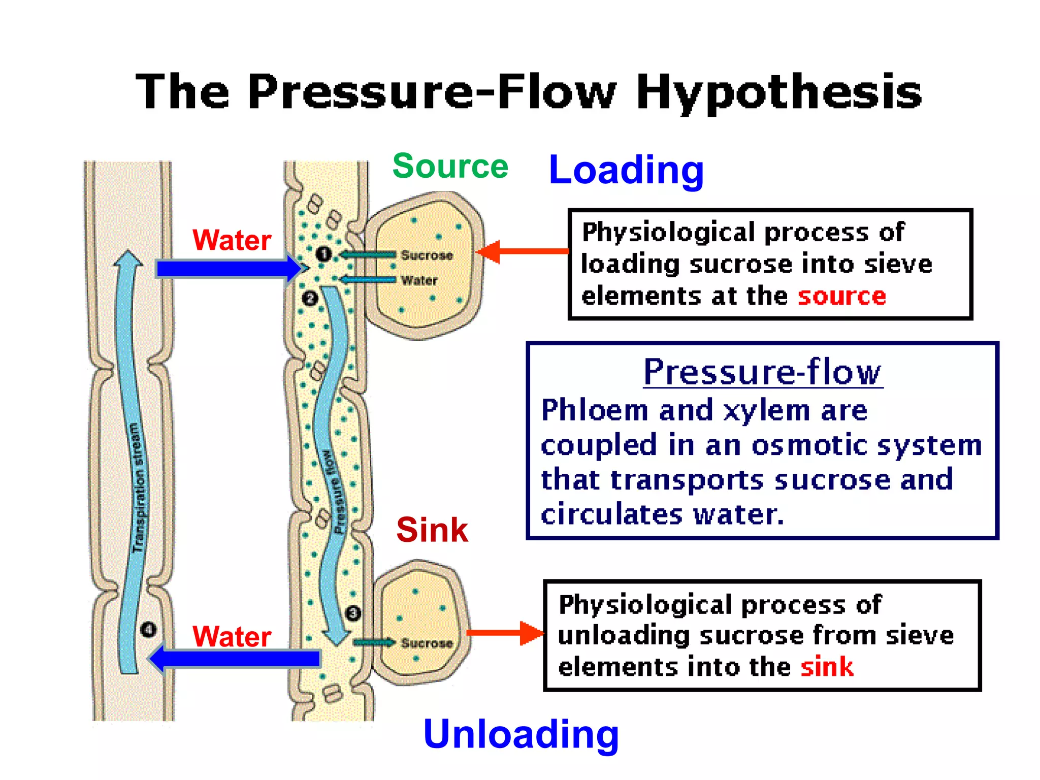 Water
Water
Source
Sink
Loading
Unloading
 