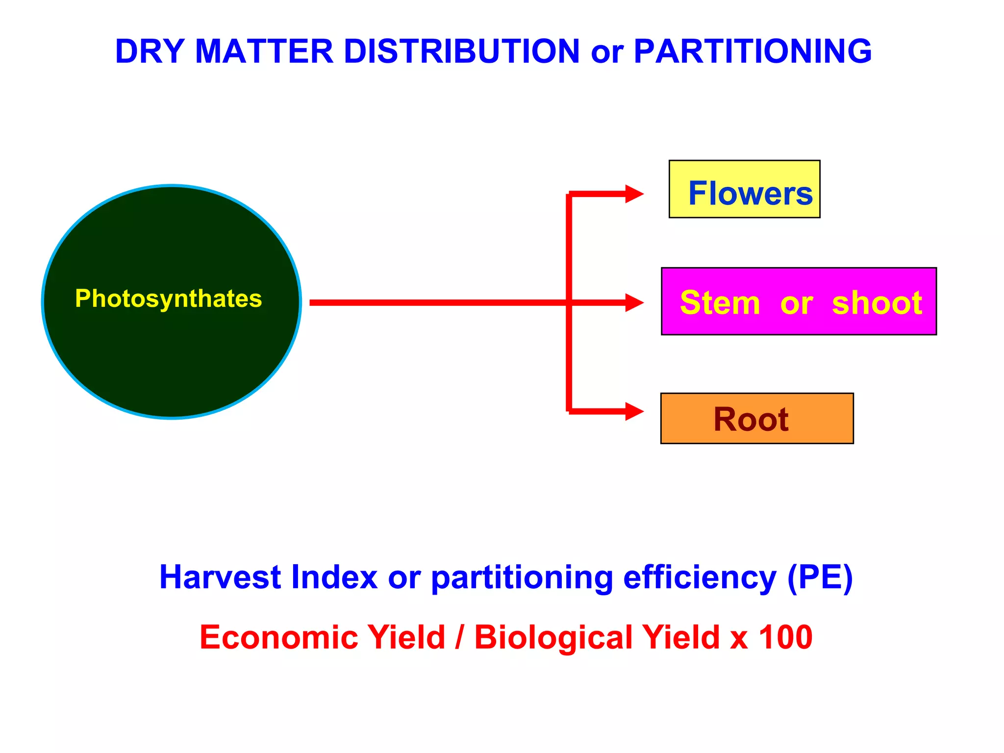 DRY MATTER DISTRIBUTION or PARTITIONING
Photosynthates
Flowers
Stem or shoot
Root
Harvest Index or partitioning efficiency (PE)
Economic Yield / Biological Yield x 100
 