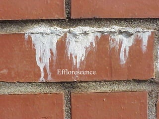Efflorescence 