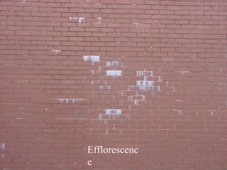 Efflorescence 