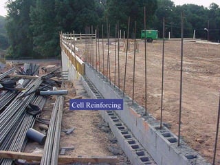 Cell Reinforcing 