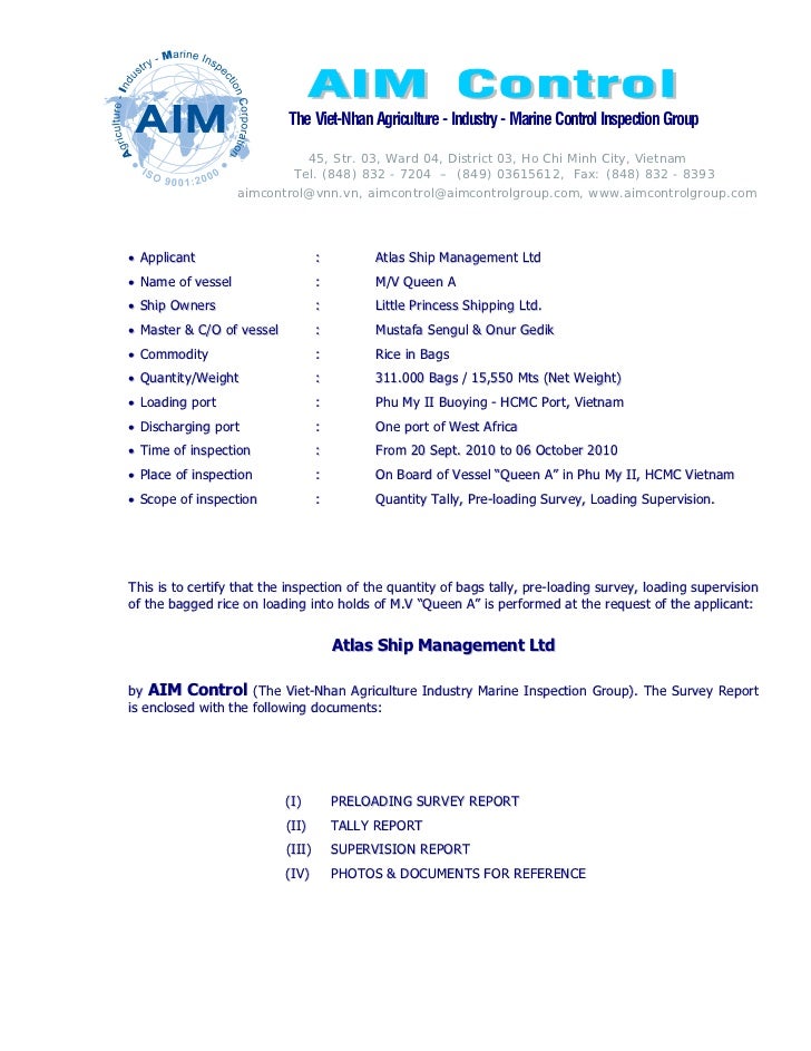 surveyors report template