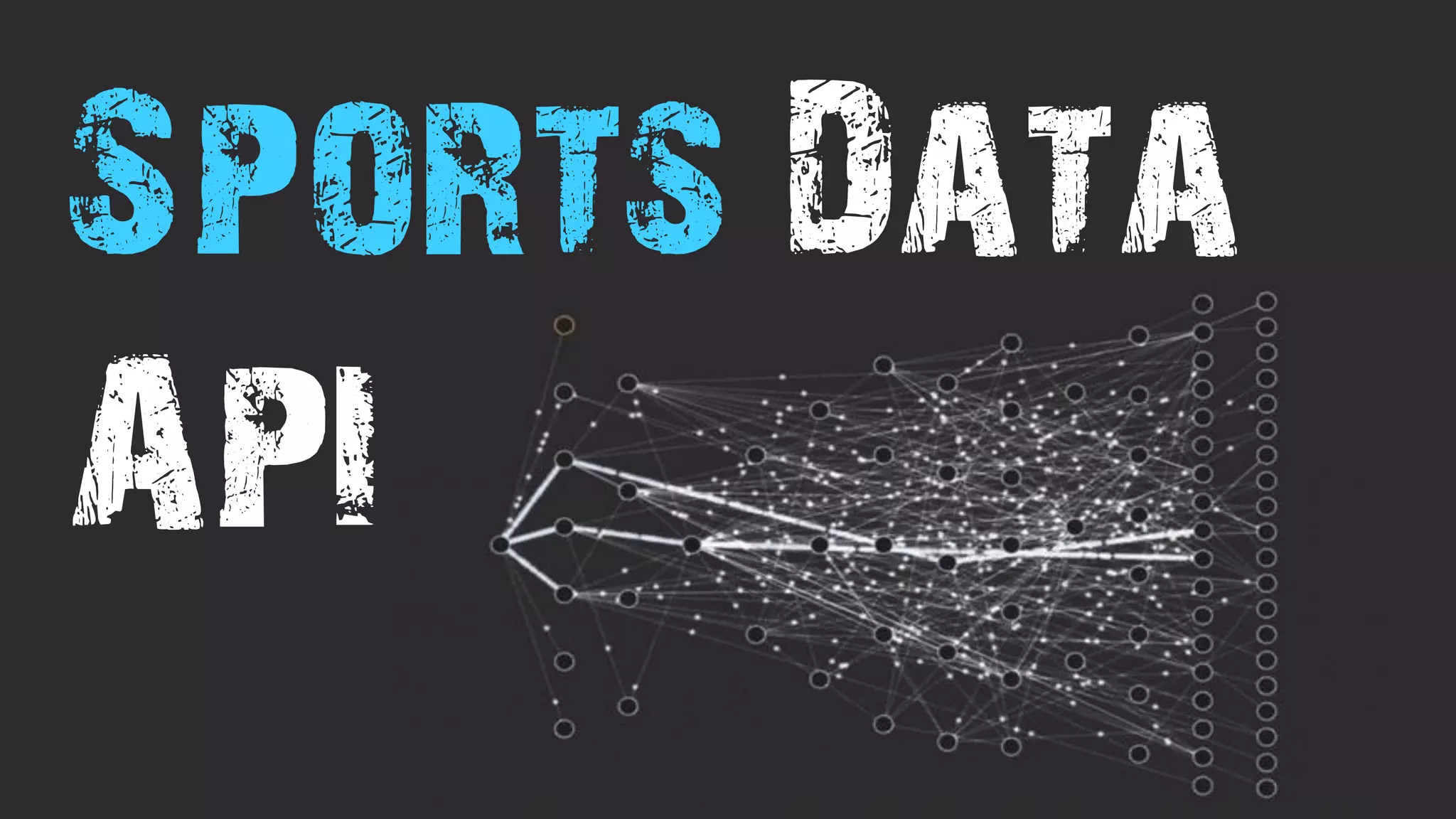 Sports Data
API
 