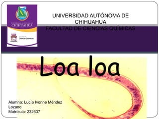 UNIVERSIDAD AUTÓNOMA DE
                           CHIHUAHUA
                  FACULTAD DE CIENCIAS QUÍMICAS




               Loa loa
Alumna: Lucía Ivonne Méndez
Lozano
Matrícula: 232637
 