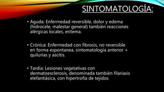 SINTOMATOLOGÍA:
• Aguda: Enfermedad reversible, dolor y edema
(hidrocele, malestar general) también reacciones
alérgicas locales, eritema.
• Crónica: Enfermedad con fibrosis, no reversible
en forma espontanea, sintomatología anterior +
quilurias y ascitis.
• Tardía: Lesiones vegetativas con
dermatoesclerosis, denominada también filariasis
elefantiásica, con hipertrofia de tejidos