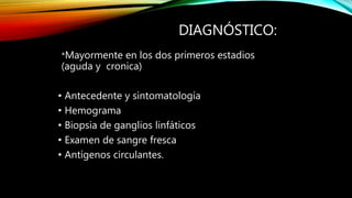 DIAGNÓSTICO:
*Mayormente en los dos primeros estadios
(aguda y cronica)
• Antecedente y sintomatología
• Hemograma
• Biopsia de ganglios linfáticos
• Examen de sangre fresca
• Antígenos circulantes.
 
