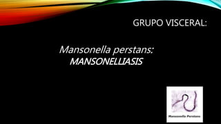 GRUPO VISCERAL:
Mansonella perstans:
MANSONELLIASIS
 