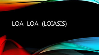 LOA LOA (LOIASIS)
 