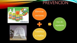PREVENCION
Eliminar
vectores
Toldillos
o mallas
Uso de
repelente
 