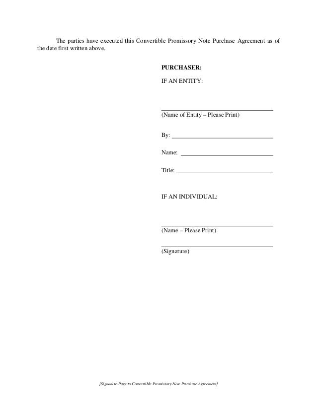 convertible promissory note