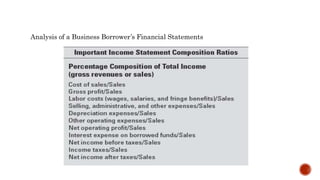 Analysis of a Business Borrower’s Financial Statements
 