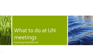 What to do at UN
meetings
www.blog.felixdodds.net
39
 