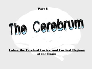 Part I:




Lobes, the Cerebral Cortex, and Cortical Regions
                  of the Brain
 