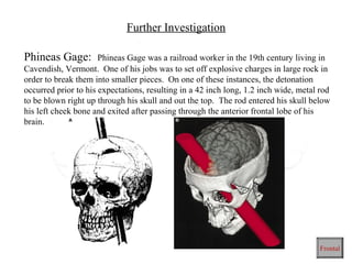 Further Investigation

Phineas Gage:         Phineas Gage was a railroad worker in the 19th century living in
Cavendish, Vermont. One of his jobs was to set off explosive charges in large rock in
order to break them into smaller pieces. On one of these instances, the detonation
occurred prior to his expectations, resulting in a 42 inch long, 1.2 inch wide, metal rod
to be blown right up through his skull and out the top. The rod entered his skull below
his left cheek bone and exited after passing through the anterior frontal lobe of his
brain.




                                                                                      Frontal
 