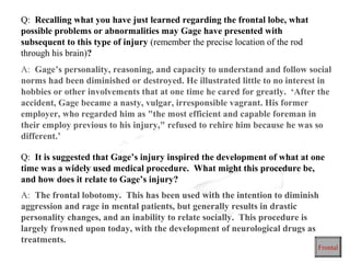 Q: Recalling what you have just learned regarding the frontal lobe, what
possible problems or abnormalities may Gage have presented with
subsequent to this type of injury (remember the precise location of the rod
through his brain)?
A: Gage’s personality, reasoning, and capacity to understand and follow social
norms had been diminished or destroyed. He illustrated little to no interest in
hobbies or other involvements that at one time he cared for greatly. ‘After the
accident, Gage became a nasty, vulgar, irresponsible vagrant. His former
employer, who regarded him as "the most efficient and capable foreman in
their employ previous to his injury," refused to rehire him because he was so
different.’

Q: It is suggested that Gage’s injury inspired the development of what at one
time was a widely used medical procedure. What might this procedure be,
and how does it relate to Gage’s injury?
A: The frontal lobotomy. This has been used with the intention to diminish
aggression and rage in mental patients, but generally results in drastic
personality changes, and an inability to relate socially. This procedure is
largely frowned upon today, with the development of neurological drugs as
treatments.
                                                                              Frontal
 
