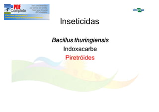 Inseticidas 
Bacillus thuringiensis 
Indoxacarbe 
Piretróides 
 