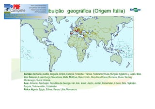 Distribuição geográfica (Origem Itália) 
Europa: Alemania, Austria, Bulgaria, Chipre, España, Finlandia, Francia, Federación Rusa, Hungría, Inglaterra y Gales, Italia, 
Islas Baleares, Luxemburgo, Macedonia, Malta, Moldova, Reino Unido, Republica Checa, Rumania, Rusia, Serbia y 
Montenegro, Suiza, Ucrania. 
Asia: Armenia, Azerbaiján, Republica de Georgia, Irán, Irak, Israel, Japón, Jordán, Kazakhstan, Líbano, Siria, Tajikistan, 
Turquía, Turkmenistán, Uzbekistán. 
África: Algeria, Egipto, Eritrea, Kenya, Libia, Marruecos. 
 