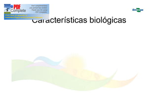 Características biológicas 
 