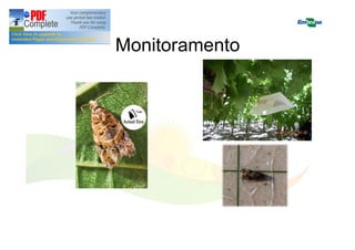 Monitoramento 
 