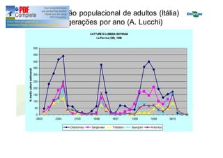 Flutuação populacional de adultos (Itália) 
3 gerações por ano (A. Lucchi) 
CATTURE DI LOBESIA BOTRANA 
La Parrina (GR), 1996 
500 
450 
400 
350 
N. medio catture settimanali Chardonnay Sangiovese Trebbiano Sauvignon Ansonica 
300 
250 
200 
150 
100 
50 
0 
26/03 23/04 21/05 18/06 16/07 13/08 10/09 08/10 
 