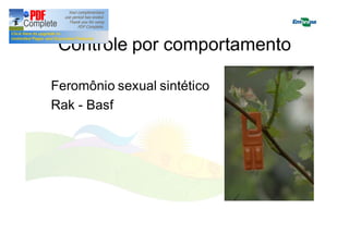 Controle por comportamento 
Feromônio sexual sintético 
Rak - Basf 
 