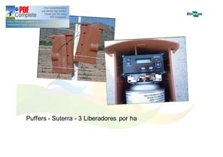 Puffers - Suterra - 3 Liberadores por ha 
 