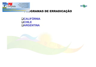 PROGRAMAS DE ERRADICAÇÃO 
qCALIFÓRNIA 
qCHILE 
qARGENTINA 
 
