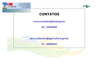 CONTATOS 
marcos.botton@embrapa.br 
54 - 34558000 
jairo.carbonari@agricultura.gov.br 
51 - 32849523 
