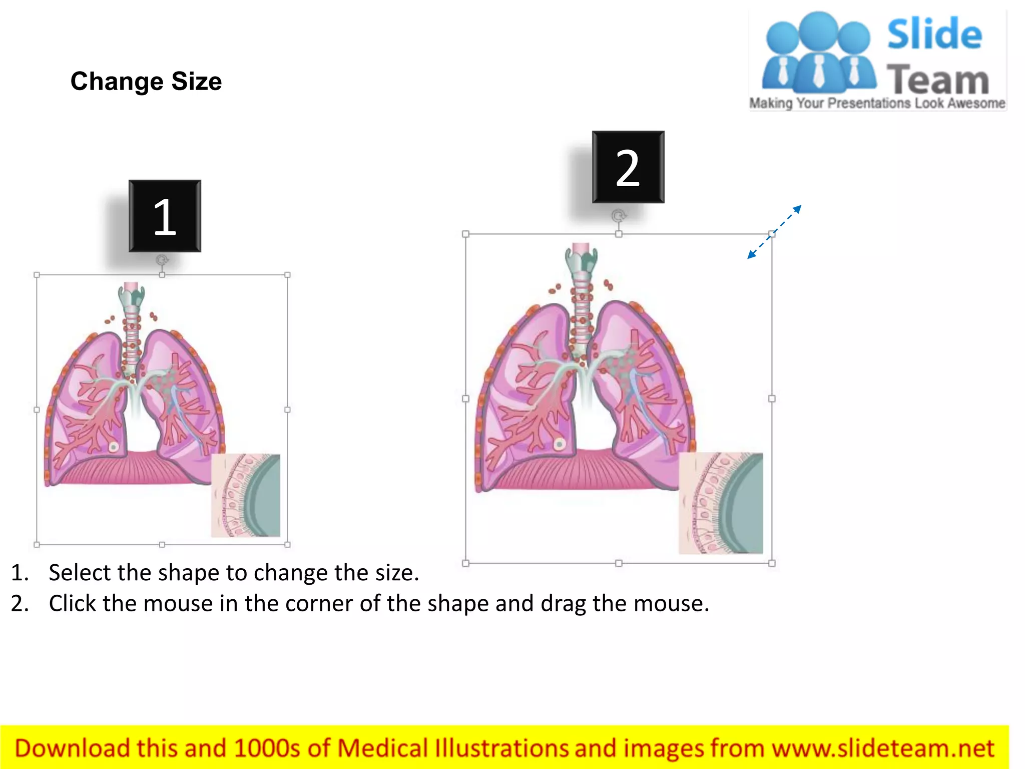 1. Select the shape to change the size.
2. Click the mouse in the corner of the shape and drag the mouse.
Change Size
1
2
 