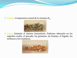  Cobalto. Componente central de la vitamina B12.
 Cobre. Estimula el sistema inmunitario. Podemos obtenerlo en los
vegetales verdes, el pescado, los guisantes, las lentejas, el hígado, los
moluscos y los crustáceos.
 