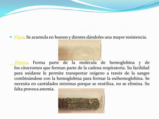  Flúor. Se acumula en huesos y dientes dándoles una mayor resistencia.
Hierro. Forma parte de la molécula de hemoglobina y de
los citocromos que forman parte de la cadena respiratoria. Su facilidad
para oxidarse le permite transportar oxígeno a través de la sangre
combinándose con la hemoglobina para formar la oxihemoglobina. Se
necesita en cantidades mínimas porque se reutiliza, no se elimina. Su
falta provoca anemia.
 