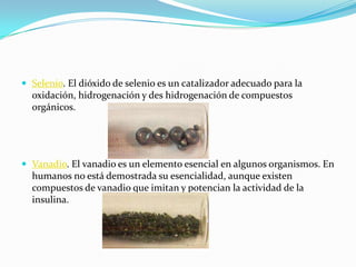  Selenio. El dióxido de selenio es un catalizador adecuado para la
oxidación, hidrogenación y des hidrogenación de compuestos
orgánicos.
 Vanadio. El vanadio es un elemento esencial en algunos organismos. En
humanos no está demostrada su esencialidad, aunque existen
compuestos de vanadio que imitan y potencian la actividad de la
insulina.
 
