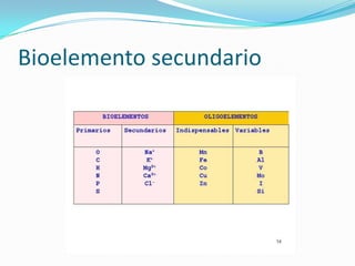 Bioelemento secundario
 