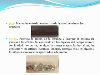 Boro. Mantenimiento de la estructura de la pared celular en los
vegetales
 Cromo. Potencia la acción de la insulina y favorece la entrada de
glucosa a las células. Su contenido en los órganos del cuerpo decrece
con la edad. Los berros, las algas, las carnes magras, las hortalizas, las
aceitunas y los cítricos (naranjas, limones, toronjas, etc.), el hígado y
los riñones son excelentes proveedores de cromo.
 